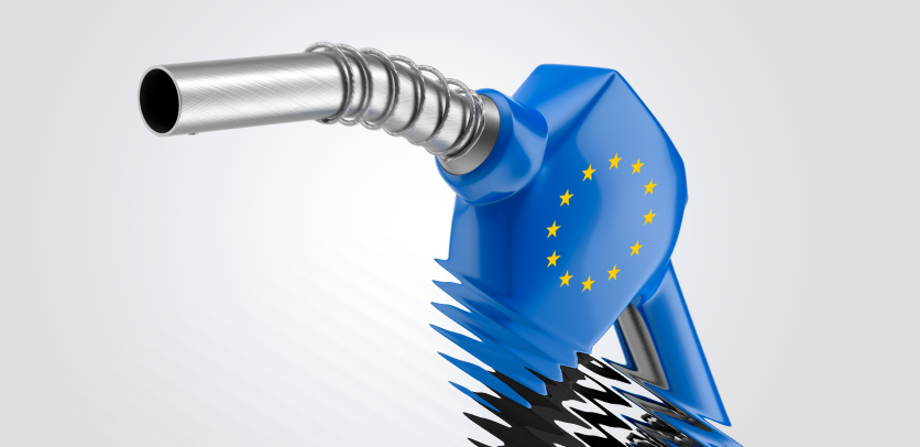 Europe’s Energy Crisis: The Need for Comprehensive Solutions
