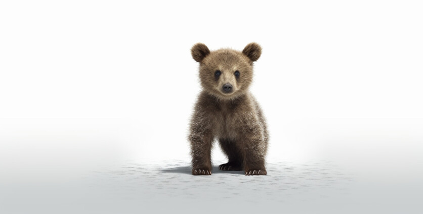 What Does the Term ‘Bear Candle’ Denote in the Realm of Forex?