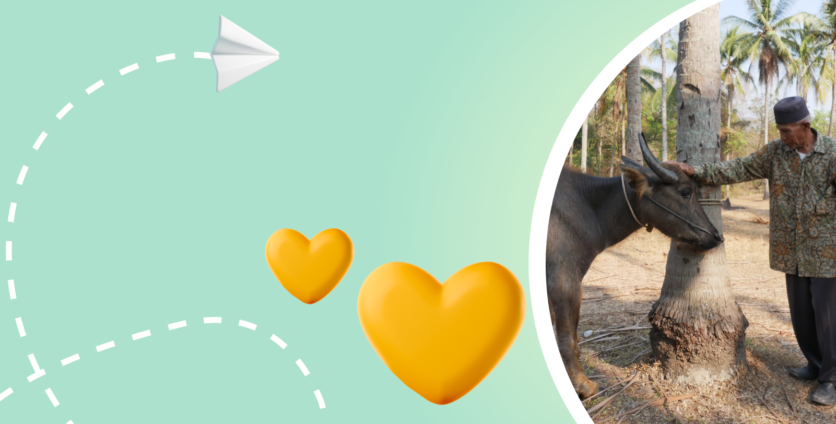 This Family Is Happy to Receive a Female Buffalo | Dreamway