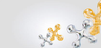 Case Study: Brakes? That’s for the Weak