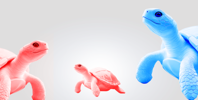 La stratégie de la soupe de tortue : Une bonne méthode de trading pour les débutants