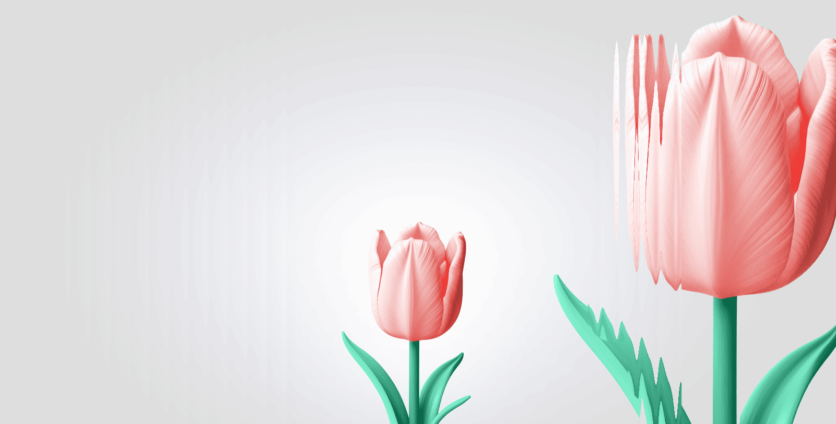 La Tulipomanie: la première grande bulle de l’histoire de la finance