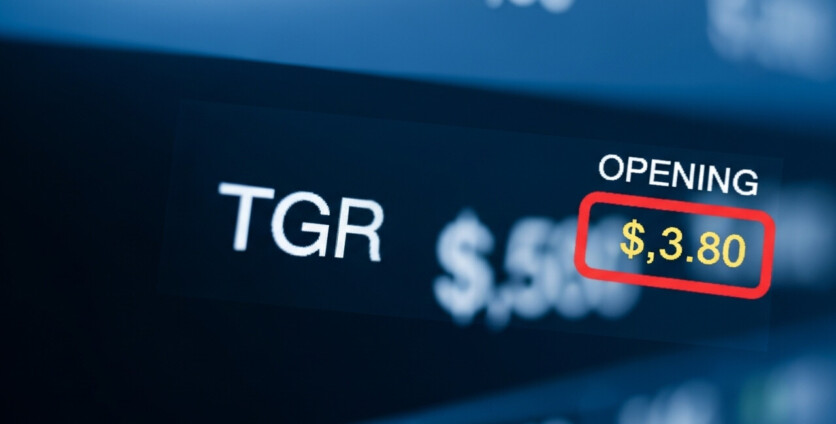 What Was the Price of TGT at the Start of the Trading Day? Insights You Need to Know!