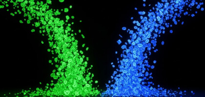 What is Considered the Greatest Risk Associated with Forex Settlement?