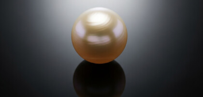 What Makes a Low-Risk Investment Carry a High Price?