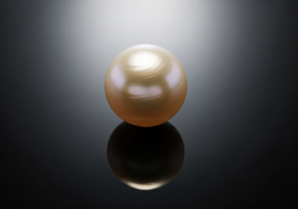 Qu’est-ce qui rend un investissement à faible risque coûteux ?