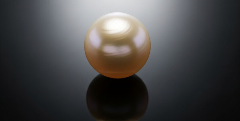 What Makes a Low-Risk Investment Carry a High Price?