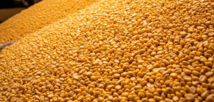 What Is an Item of Value Bought and Sold in a Market Like Corn?