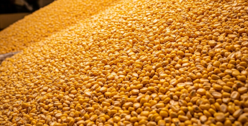 What Is an Item of Value Bought and Sold in a Market Like Corn?