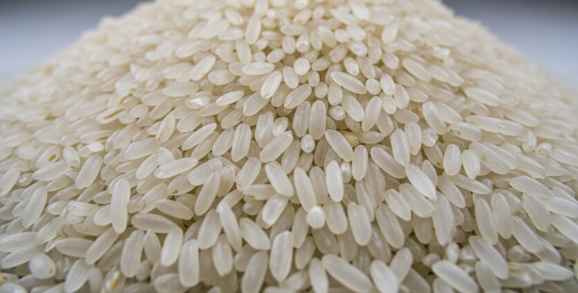 What Is a Basic Good That Is Interchangeable with Other Commodities of the Same Type?