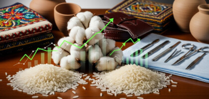 Highest Forex Earners for Pakistan: A Commodity-Based Analysis