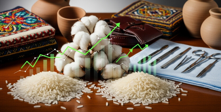 Highest Forex Earners for Pakistan: A Commodity-Based Analysis