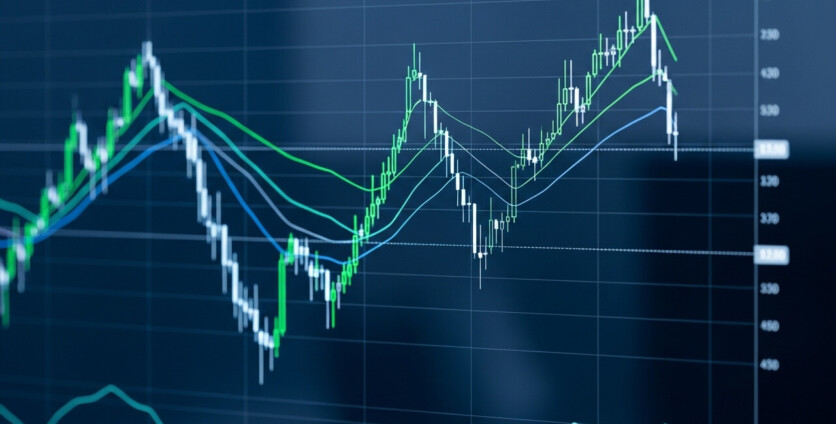 Levels of the Forex Market: A Comprehensive Guide