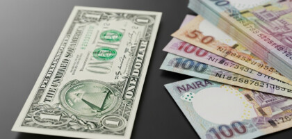 How Much is 1 Dollar in Naira? A Forex Market Guide