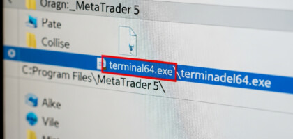 Locating the MetaTrader 5 Terminal Executable File: A Guide