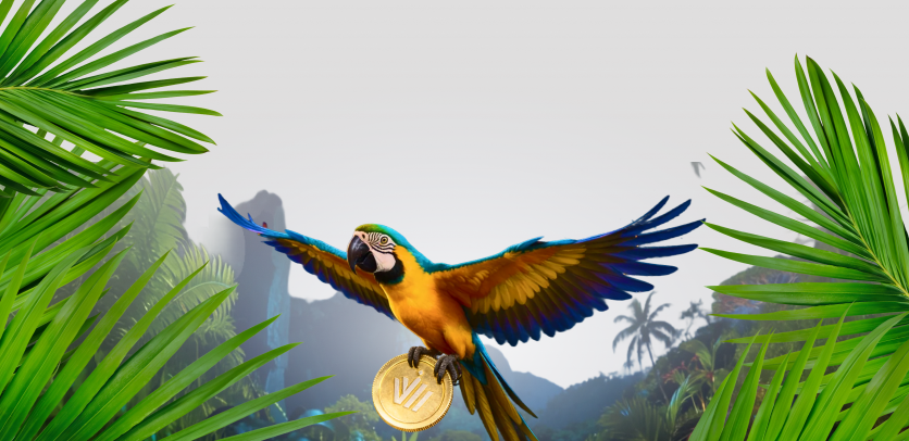 Concurso Demo Carnaval dos Traders