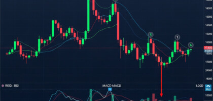Comprehensive Review: The Top Buy and Sell Indicators for Option Trading – Detailed Analysis for Maximizing Gains